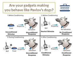 Is your government making you behave like Pavlov's Dog?